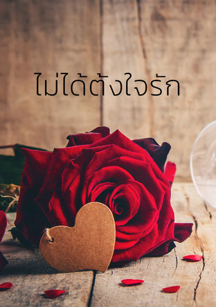 ปกหนังสือ ไม่ได้ตั้งใจรัก