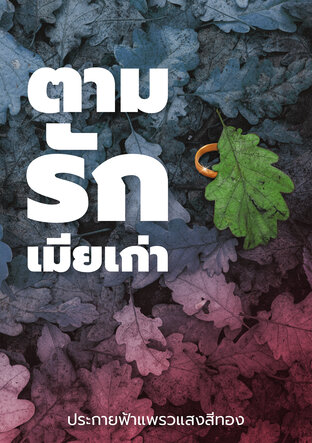 ปกหนังสือ ตามรักเมียเก่า